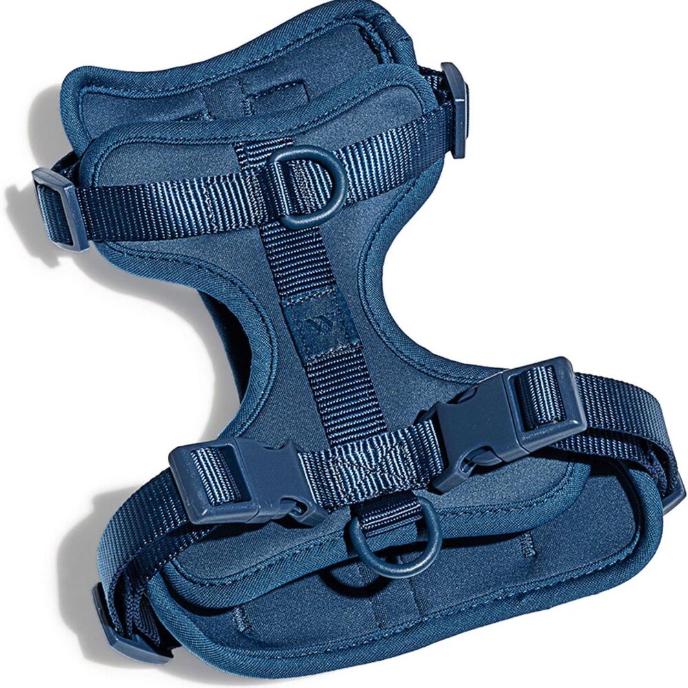 Wild One Dog Harness BLUE NEW